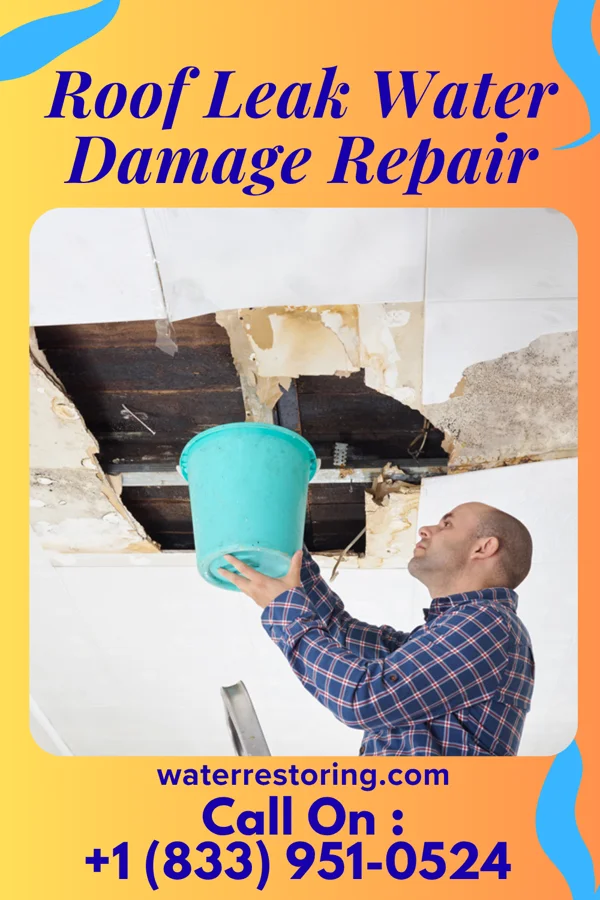 Roof Leak Water Damage Repair in Rockwood, MI
