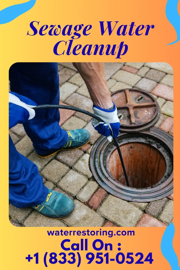 Sewage Water Cleanup in Rockwood, MI