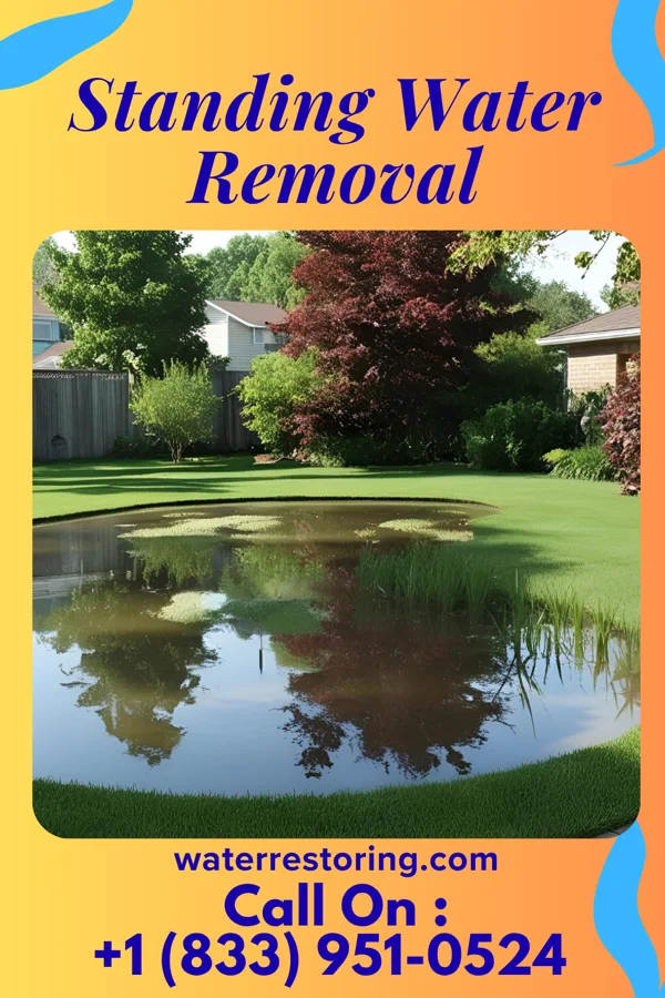 Standing Water Removal in Rockwood, MI